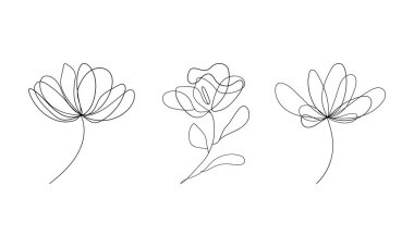 Dört minimalist botanik çizim seti. Modern dövme tasarımları, posterler ve temiz dijital kompozisyonlar için ideal.