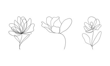 Yumuşak, zarif çizgili çiçekler ve yumuşak pastel renkler. Botanik baskılar, zarif dekorlar veya bahar temalı tasarımlar için ideal.