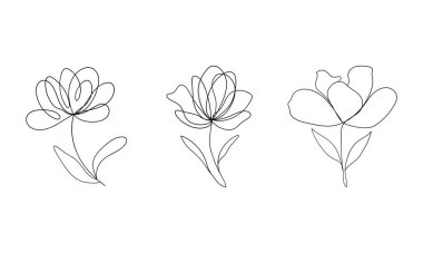 Yumuşak desenler, kartlar ya da zarif kırtasiye tasarımları yapmak için mükemmel üç minimalist çizgi çizgisi..