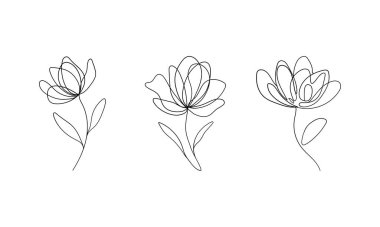 Basit çiçek formlarını gösteren bir dizi temiz, minimalist çiçek çizimi. Botanik tasarım, kırtasiye ya da kalıp oluşturma için harika.