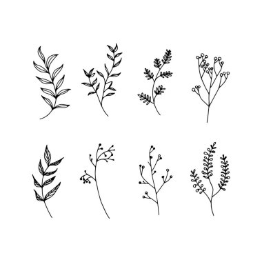 Çeşitli çiçek unsurları içeren ayrıntılı mürekkep çizimi, dekoratif vintage veya botanik temalı sanat eserleri için ideal.