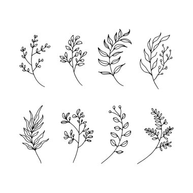 Çeşitli yeşillik şekillerine sahip el yapımı, klasik bitki çizimleri, doğal ürün ambalajı ve kırtasiye için mükemmel..