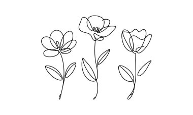 Anlamlı sürekli çizgilerle çizilmiş üç çiçek. Paketleme, duvar sanatı ve markalaşma için çok yönlü bir çiçek çizimi.