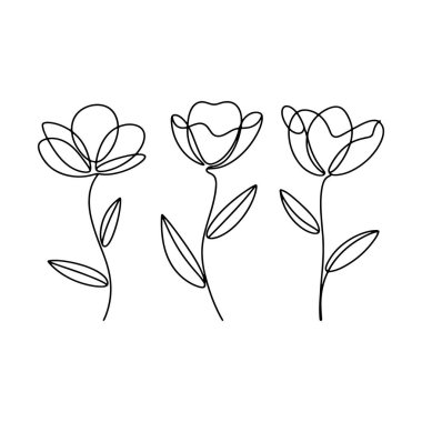 Hafif ve zarif bir çiçek üçlüsü ince, tuhaf kıvrımlarla çizilmiş. Zarif davetler ya da yumuşak tasarımlar için mükemmel.