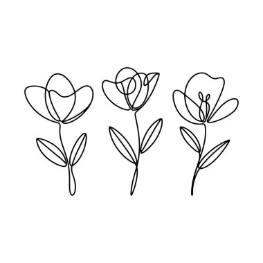 Ayrıntılı taç yaprakları ve ince çizgileri olan eşsiz şekilli üç çiçek. Yumuşak markalaşma ve doğal ürün ambalajlama için harika..