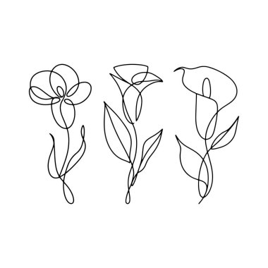 Bir satırda üç çiçek, minimalizm ve doğal güzelliğin mükemmel bir kombinasyonudur..