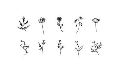 Uzun saplı ve kalın yaprak şekilli gevşek bir bukette siyah siluet çiçekler..