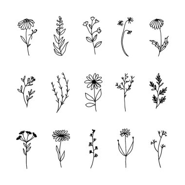 Yuvarlak taç yaprakları ve yumuşak akış hatları olan stilize bir çiçek. Temiz, minimal çiçek sanatı için ideal..