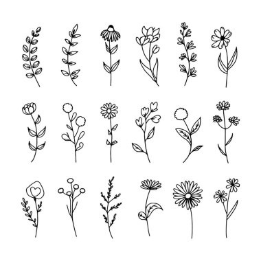 Modern bir dekoratif efekt için sürekli kıvrımlı çizgiler ve minimum taç yaprak şekilleriyle oluşturulmuş soyut bir çiçek..