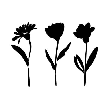 Temiz çizgileri ve yüksek kontrastlı siyah çiçekli siluetler, logolar, çıkartmalar ve güçlü kompozisyonlar için uygun..