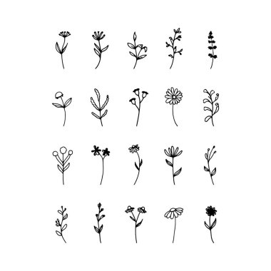 Zarif tasarım aksanları ve kusursuz desenler için mükemmel, ince çizgili minyatür çiçekler..