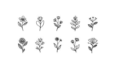 A modern floral arrangement with thick and thin lines emphasizing blooming petals and leaf shapes for stylish composition.