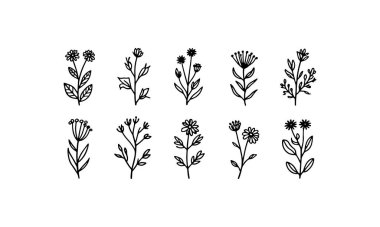 Yuvarlak yaprakları ve güçlü görsel kontrastı olan etkileyici bir çiçek silueti üçlüsü etkili damgalama ve parmak izleri için ideal..