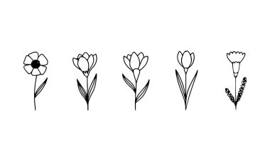 Yumuşak, çizgi çizgili çiçek motifleri yatay düzenleme doğal bir ritim ve hava yapısı, başlıklar ve sınırlar için harika.