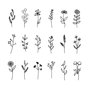 Açık çizgiler ve biçimlendirilmiş şekillerle, etkili damgalama ve baskılar için ideal, dikey ve minimal çiçek dizilimi.