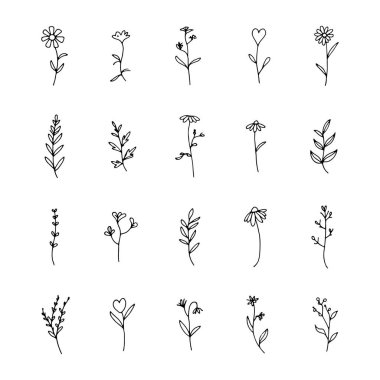 Yumuşak siluetleri olan ince çizgili botanik dalları, doğal markalaşma ve zarif planlar için mükemmel..