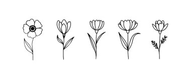 Doğal kıvrımlı ve dengeli aralıklı bir dizi temiz ve minimal çiçek çizimi, markalaşma ve kağıt ürünleri için mükemmel..