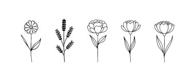 Çağdaş tasarım ve tekstil için ideal, yuvarlak taç yaprakları ve hassas simetrisi olan bir dizi soyut çiçek çizimi..