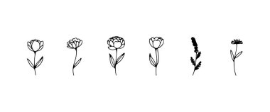 Zarif detaylar ve organik akışla, zarif baskılar ve kompozisyonlar için uygun dengeli bir klasik çiçek çizimleri seti..