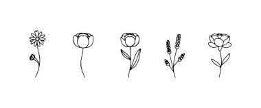 Basit ve soyut çiçek tasarımlarının yaratıcı bir karışımı. Açık çizgiler ve açık estetik, modern kırtasiye ve tekstil için mükemmel..