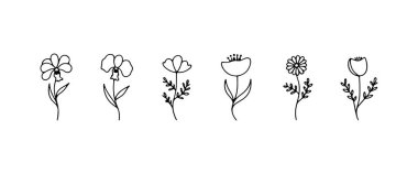 Zarif çizgileri ve organik ritmi olan dik çiçek koleksiyonu dekoratif yüzeyler ve marka varlıkları için idealdir..