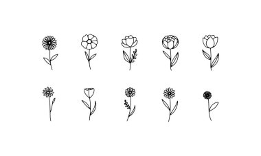 İnce sapları ve yumuşak yuvarlak çiçekleri olan modern bir çiçek aranjmanı dekoratif çizimler ve ambalajlar için mükemmel..