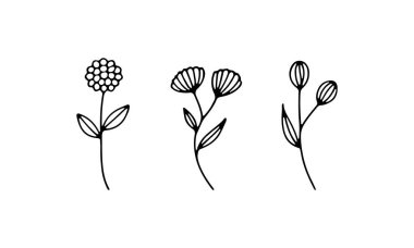 Kalın noktalı çiçekleri ve akışkan gövdeleri olan dekoratif botanik öğeler asgari düzeyde.