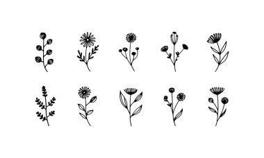 Çiçek şeklinde kontrastlık ve berraklık sunan dolgun yapraklı ve dar saplı siyah çiçek siluetleri..