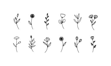 Narin mürekkepli küçük botanik çiçekleri minimum doğal tasarım için mükemmel..