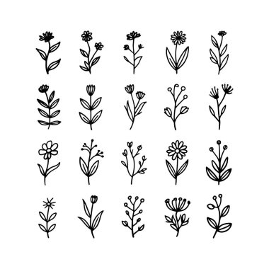 Zarif bir minimalist çizgide çizilmiş ince kıvrımlı, narin bir çiçek başı..