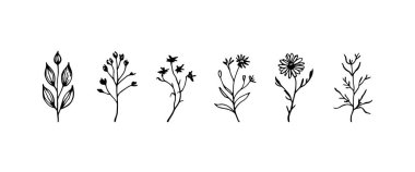 Hafif botanik çizgileri olan temiz bir çiçek aksanı ve ince kompozisyon kullanımı için zarif detaylar..