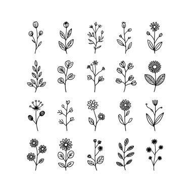 İnce botanik çerçeve kemerli çiçek çizgileri ve minimum detay ile yapılmış, zarif yerleşim aksanları için ideal.