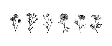 Zarif kemerli botanik element, akıcı el çizgileri ve temiz kompozisyonlar için ince çiçekli şekiller..