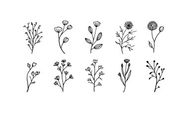 Çiçek uçlu ince dallar ve yuvarlak yapraklar temiz bir sanat tarzında, tasarım için ideal..