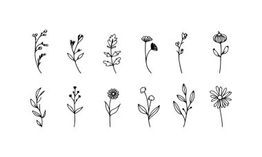 Simetrik formları ve minimalist zarafeti olan çiçekli çizgilerin kompakt bir düzeni.