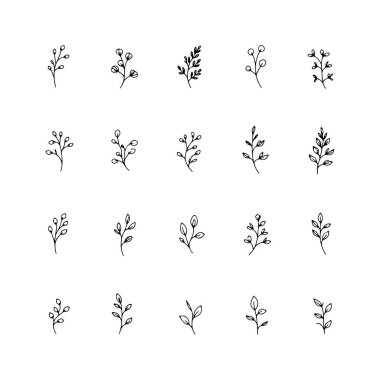 Basit sapları ve narin çiçekleri olan, doğadan esinlenilmiş ince sanat eserleri için uygun küçük doğrusal çiçek elementleri seti..