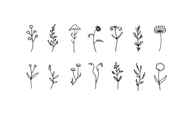 Narin taç yaprakları ve ince organik gövdeleri olan zarif çiçek çizimleri, ince çizgi tasarımları için mükemmel..