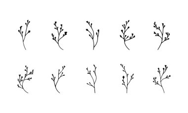 Katmanlı şekilleri ve kontrastı olan detaylı bir kara yaprağın cesur botanik tasarımı, güçlü görseller ve modern estetik için mükemmel..