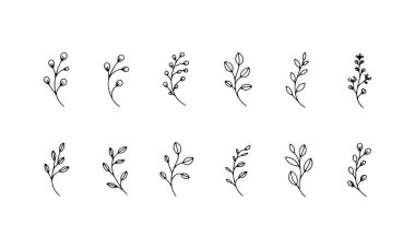 Zarif, zarif markalaşma, ambalaj, tebrik kartları ve modern tasarım projeleri için mükemmel, tek satırlık çizimlerle oluşturulmuş narin resimlerden oluşan bir koleksiyon..