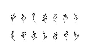 Yumuşak ve temiz çizgilerle çizilmiş minimalist bitki ve yapraklar seti, doğal ve kırsal tasarım temaları için harika..