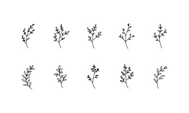 Basit bir çiçek seti doğrusal stilde, çağdaş botanik baskılar, logo tasarımı ve yaratıcı projeler için mükemmel..