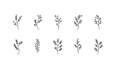 Basit bir çiçek seti doğrusal stilde, çağdaş botanik baskılar, logo tasarımı ve yaratıcı projeler için mükemmel..