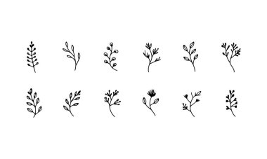 Zarif doğal tasarımlar için minimum yapraklı el yapımı botanik dallardan oluşan basit bir koleksiyon..