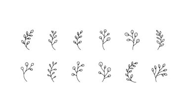 Botanik Şube Çizimi, yapraklı, doğal sanat ve hassas kompozisyonlar için mükemmel bir el yapımı gövdeye sahiptir..