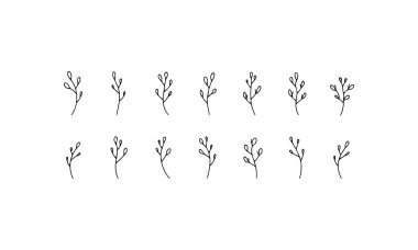 Basit Botanik Element, modern kompozisyonlarda sakin çiçek aksanları için mükemmel yumuşak minimalist bir kök tasarımı içerir..