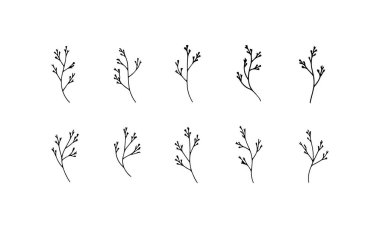 Fine Line Branch Drawing, botanik çizgileri ve yumuşak yaprakları olan, minimalist botanik tasarımlar için idealdir..