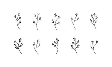 Küçük Çiçek Çizimi ince botanik kompozisyonlar için ideal ince çizgileri olan tek bir narin çiçek tasvir eder.