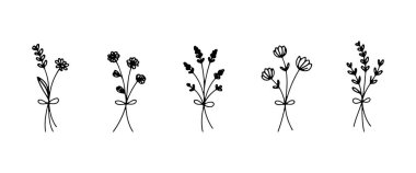 Yumuşak yapraklı ve ince yeşil saplı narin kır çiçeği buketi..