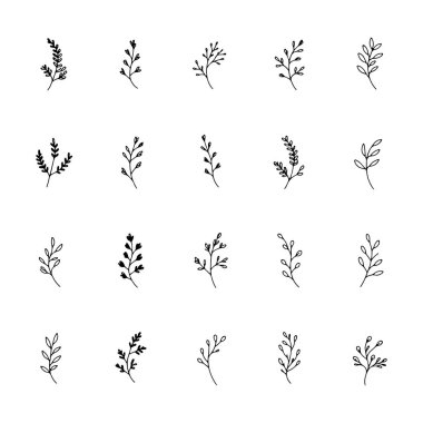 Uzun sapları ve ince çiçekleri olan el yapımı büyüleyici bir kır çiçeği koleksiyonu doğa severler, kırsal tasarımlar ve minimalist sanatlar için mükemmel..