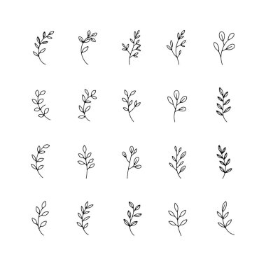 Linear Leaf Sprigs Koleksiyonu ince çizgili, ince yapraklı botanik dalları, logolar, eko ambalajlama ve markalaşma için mükemmel..